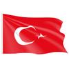 Taffstyle Flag 150 x 90 cm National Flag Fan Merchandise with Metal Eyelets view 1