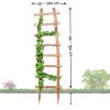 BooGardi Natural Wooden Trellis, 33 Sizes, 120 x 180 cm, Freestanding Garden Climbing Support view 4