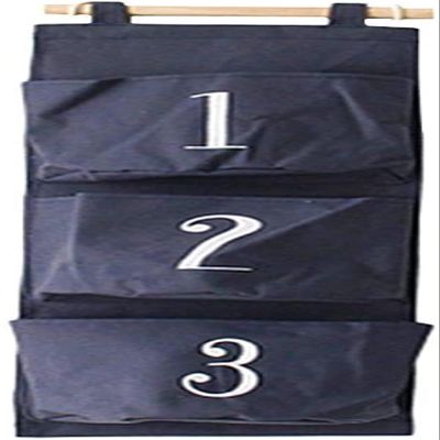 Hanging Shoe and Closet Storage Organizer
