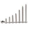 Rounded Self-Tapping Screws, 304 Stainless Steel Phillips Head, M2.3 × 6 mm, 100 Pieces view 1
