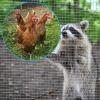 QQXY Stainless Steel Wire Mesh, 8 Mesh, 1 x 1 m view 3