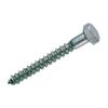 Woltersberger 10-Piece Wood Screws 8 x 40 mm Zinc-Plated Hex Head DIN 571 M8 view 2
