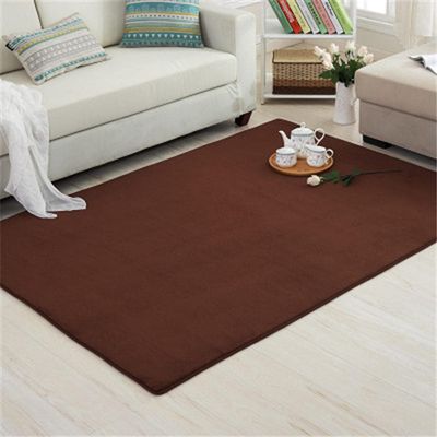 Thick Non-Slip Coral Fleece Rug, Earthy Brown, 160 x 230 cm