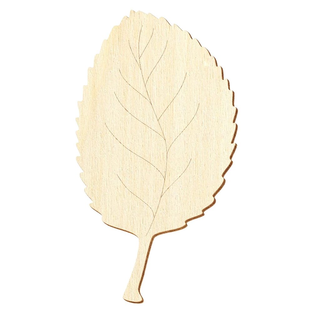 Wooden Apple Leaf V2, 5–50 cm, Pack of 50, 9 cm Height
