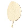 Wooden Apple Leaf V2, 5–50 cm, Pack of 50, 9 cm Height view 1