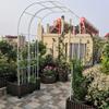 ZWJABYY Metal Garden Arch for Climbing Plants, White, 150 × 240 cm view 2