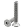 DSM M8 x 25 mm ISO 10642 Hex Socket Countersunk Screws, 10-Pack view 1