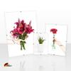 Clippo Deluxe Frameless Picture Frame 61 x 85 cm, Special-Size Picture Holder with White Background and Clear Acrylic Glass view 3