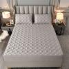 Quilted Cotton Mattress Topper and Protector for Box Spring Beds, Washable, Anti-Allergy, Gray, 180 x 200 cm view 2