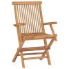 Tidyard 2-Pack Folding Teak Garden Chairs with Anthracite Cushions view 4