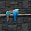 A.Monamour 3D Parrot Door Sticker, Self-Adhesive Vinyl Wallpaper, 85 x 200 cm view 1