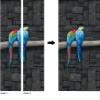 A.Monamour 3D Parrot Door Sticker, Self-Adhesive Vinyl Wallpaper, 85 x 200 cm view 3