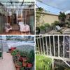 HYHMJ 0.55 mm Clear PVC Waterproof Multi-Purpose Tarp, 2.9 x 3.5 m view 2