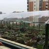 HYHMJ 0.55 mm Clear PVC Waterproof Multi-Purpose Tarp, 2.9 x 3.5 m view 4