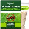 Legona SC nematodes against mole crickets, 1 million for 2 m² view 1