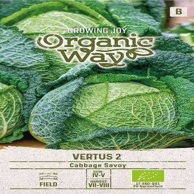 Organic Way | VERTUS 2 Savoy Cabbage Seeds | Vegetable Seeds | Cabbage Seeds | Garden Seeds | Mid-Early Variety for Summer or Autumn Harvest | 1 Pack