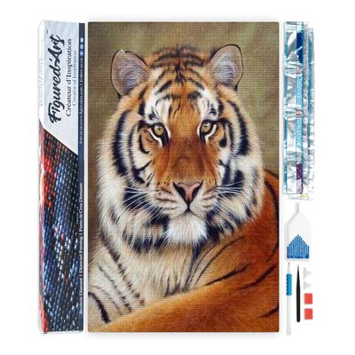 Figured'Art Diamond Painting for Adults 40x50 cm Full Canvas, Rolled, Tiger Eye, 5D Square Diamonds - DIY Craft Kit