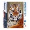 Figured'Art Diamond Painting for Adults 40x50 cm Full Canvas, Rolled, Tiger Eye, 5D Square Diamonds - DIY Craft Kit view 1