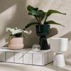 Iittala Nappula Ceramic Planter with Saucer, Beige, 17 x 17 x 13 cm, 1059790 view 2