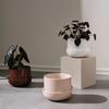 Iittala Nappula Ceramic Planter with Saucer, Beige, 17 x 17 x 13 cm, 1059790 view 3