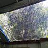 HYHMJ Waterproof Clear Garden Cover Tarp, 3.5 x 5 m view 4