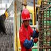 Binding Wire, Galvanized Iron Wire, 0.7 mm Diameter, 45 cm, 300 Pieces view 4