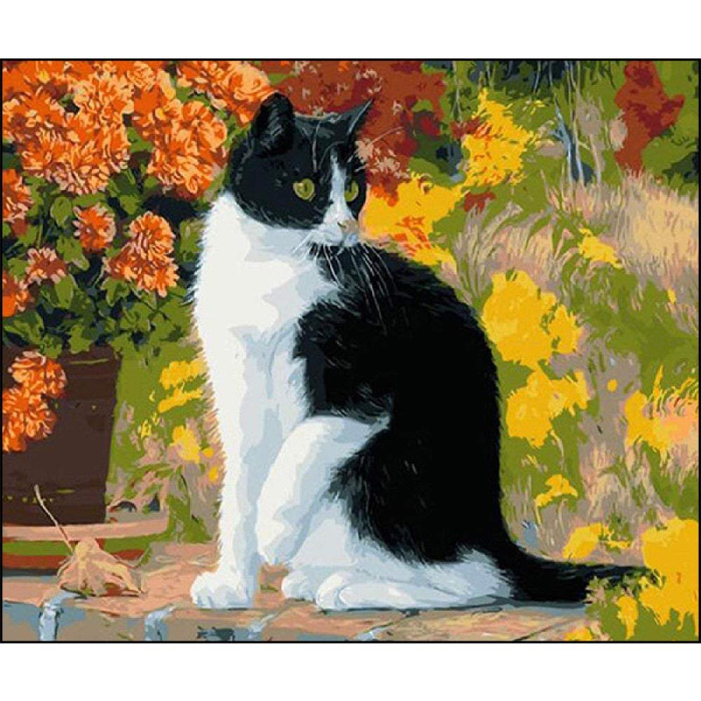 5D Full Drill Diamond Painting Kit – Black and White Cat, 50 x 80 cm