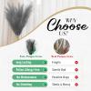 NONKKY Artificial Pampas Grass, 5 Stems, 100 cm, Fluffy, Dark Gray view 3