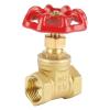 DN15 (G1/2) Threaded Brass Gate Valve, Manual Two-Way Shutoff Valve view 1