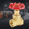 DN15 (G1/2) Threaded Brass Gate Valve, Manual Two-Way Shutoff Valve view 3