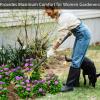 DonSail Stirrup Hoe, Garden Tool for Weeding, Adjustable Long Handle, 76.2–109.2 cm, Black view 3
