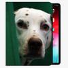 Slim Shell Case for iPad mini 4/5 (7.9-inch), Dalmatian Dog Face Design view 2