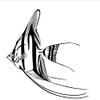 Nomadic Fish Wall Sticker for Living Room and Kitchen, Waterproof Wall Decoration, 59 x 59 cm view 4