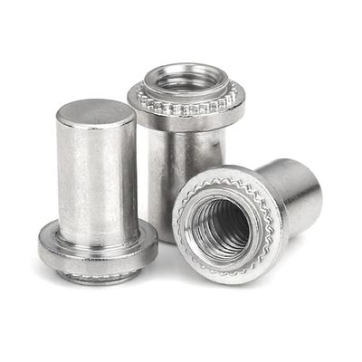 5-Piece 304 Stainless Steel Closed-End Blind Rivet Nuts, Waterproof, M3/M4/M5/M6, M6-1