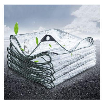 ASDQWER Transparent Waterproof PVC Tarpaulin, 3 x 8 m