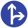 Traffic Sign VZ214, Straight Ahead or Right, Aluminum, RA1, 420 mm view 1