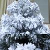 YSDKJ Artificial Snowy Pine Christmas Tree with Folding Metal Stand view 3