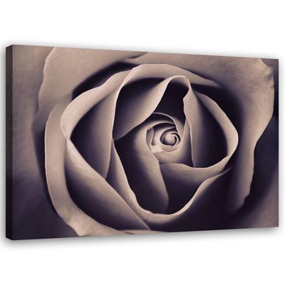 Feeby Rose Close-Up Macro Canvas Wall Art, 100 x 70 cm, Violet