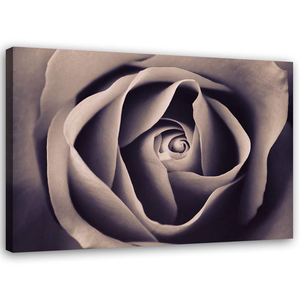 Feeby Rose Close-Up Macro Canvas Wall Art, 100 x 70 cm, Violet