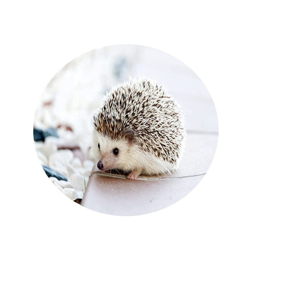 Chickw1 Round Waterproof Washable 3D Animal Print Tablecloth with Elastic Edge, Small Hedgehog, 200 cm