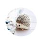 Chickw1 Round Waterproof Washable 3D Animal Print Tablecloth with Elastic Edge, Small Hedgehog, 200 cm view 1