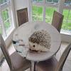 Chickw1 Round Waterproof Washable 3D Animal Print Tablecloth with Elastic Edge, Small Hedgehog, 200 cm view 3