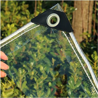 1 m x 3.1 m Transparent PVC Waterproof Tarp with Eyelets and Rope
