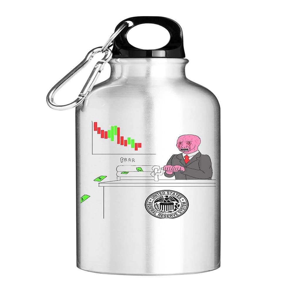 Federal Reserve Money Printer Go Brrr Meme Fed Stimulus Check Tourist Water Bottle, Silver, 400 ml