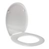 Dolomite Garda Toilet Seat, Heat-Resistant, White, Stainless Steel Hinges view 1