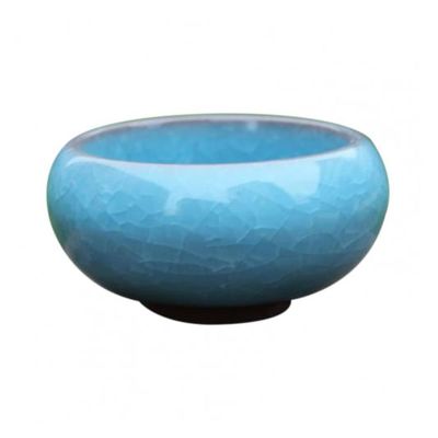 jinyi2016SHOP Ceramic Plant Pot for Succulents, Compact Small Planter, Light Blue