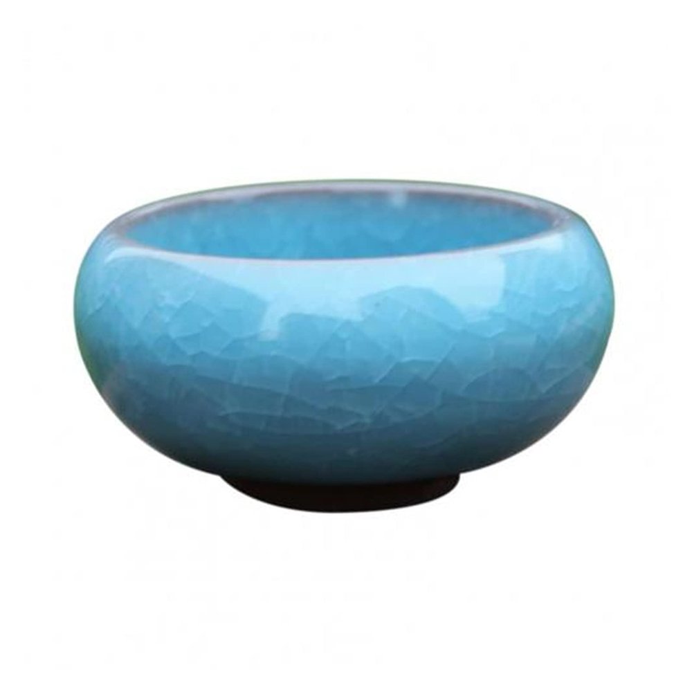 jinyi2016SHOP Ceramic Plant Pot for Succulents, Compact Small Planter, Light Blue