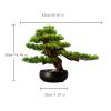 XXXXW Handcrafted 14-Inch-Tall Artificial Pine Bonsai Decoration for Wine Cabinets and Tea Rooms view 2