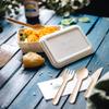 BIOZOYG Compostable Bagasse Trays, 1,000 Count, 12 x 17 cm, 500 ml view 3