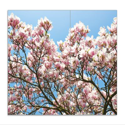 Wallario Glass Stovetop Cover/Splash Guard, 2-Piece, 70 x 52 cm, Pink Magnolias